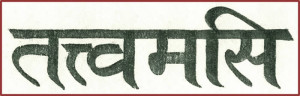 Quello sei tu in sanscrito